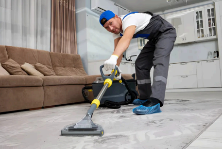 Professional cleaning service image